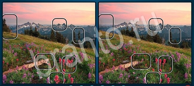 ответы на игру Найдите отличия в контакте Уровень 2653