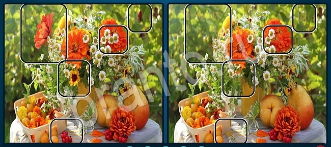 ответы Найдите отличия Уровень 2033