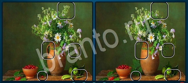 Найдите отличия ответы в контакте Уровень 1946