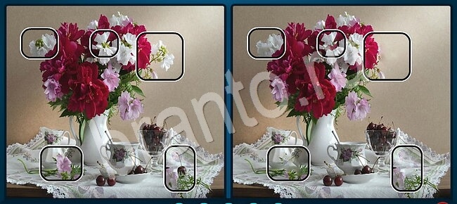 Прохождение игры Найдите отличия Уровень 1971