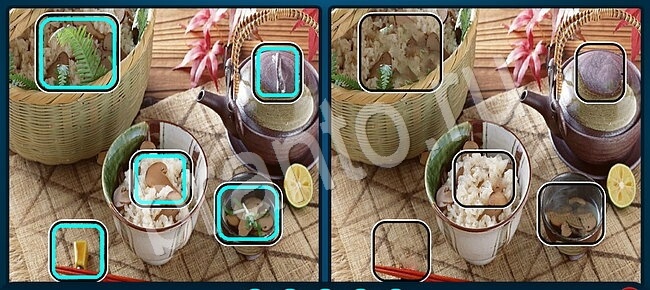 ответы вконтакте Найдите отличия Уровень 1976