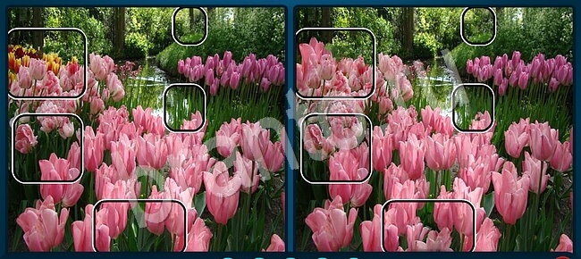 Найдите отличия помощь в картинках Уровень 1988