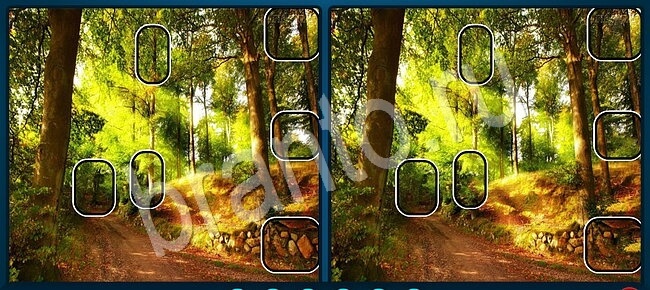 Найдите отличия игра ответы в контакте Уровень 2663