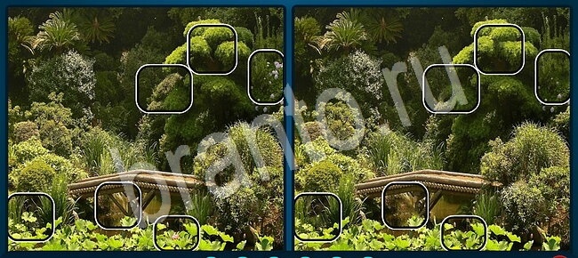 Игра Найдите отличия прохождение Уровень 2676