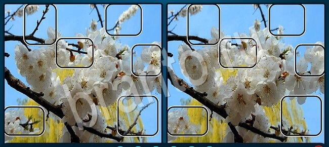 ответы Найдите отличия Уровень 2693