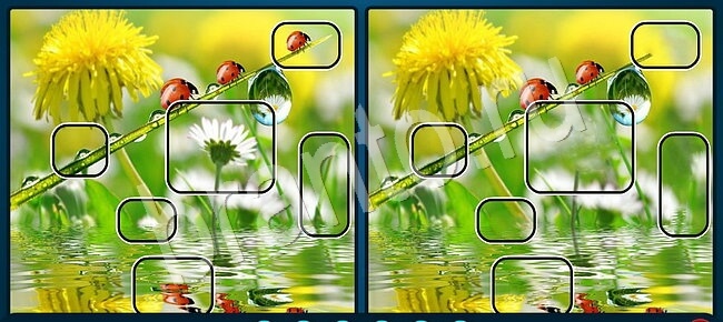 ответы Найдите отличия на двух картинках Уровень 2694