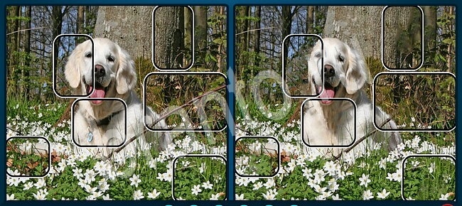 ответы Найди отличия Уровень 2695