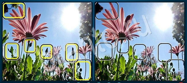 ответы Найдите отличия Уровень 2696