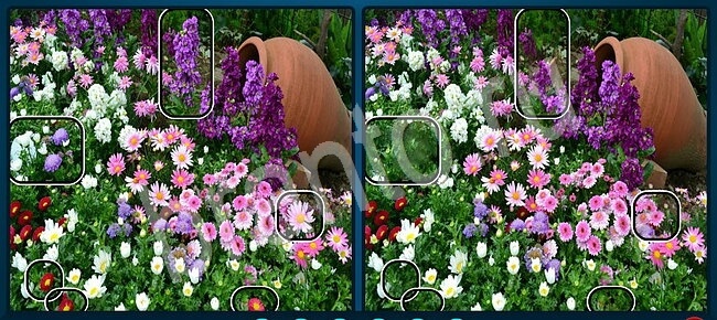 ответы на игру Найдите отличия в скриншотах Уровень 2698