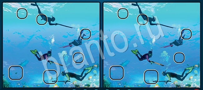 Игра Найди отличия ответы Уровень 2723