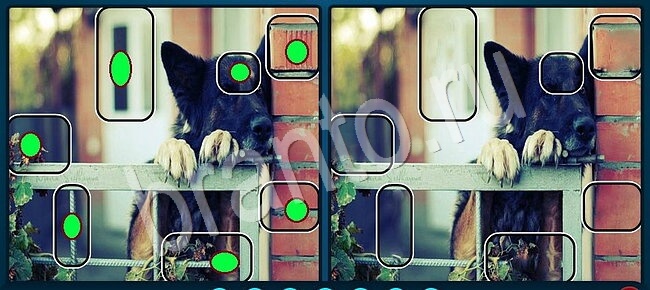 ответы на игру Найдите отличия в контакте Уровень 2798