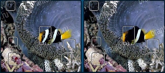 Найдите отличия игра подсказки Уровень 2899