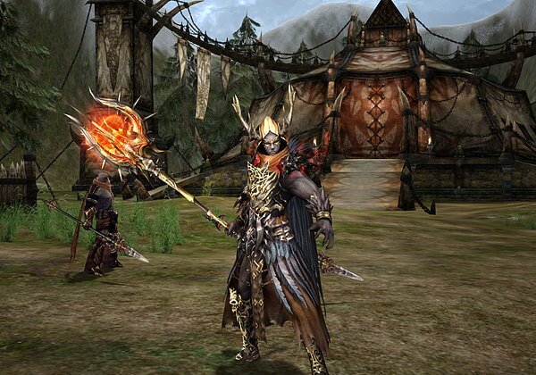 Скриншоты из игры Lineage II