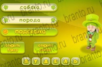 Три подсказки все отгадки Одноклассники Уровень 979