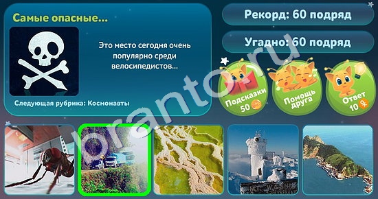 ответы на игру 5 вопросов обо всём в одноклассниках Уровень 16