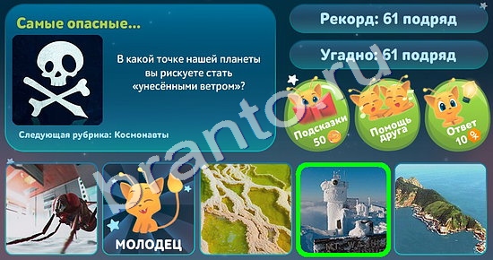 Подсказки на игру 5 вопросов обо всём