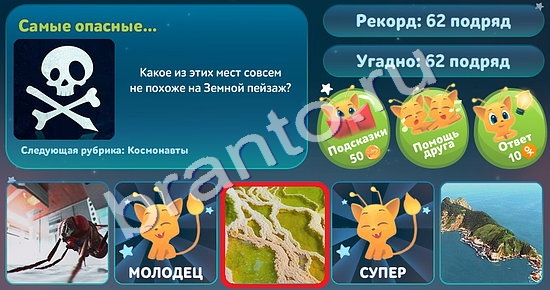 Решения на игру Пять вопросов обо всём