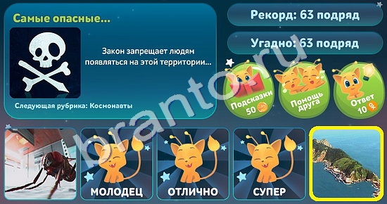 Помощь на игру ВК 5 вопросов обо всём