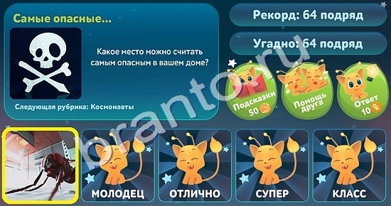 ответы к игре Пять вопросов обо всем