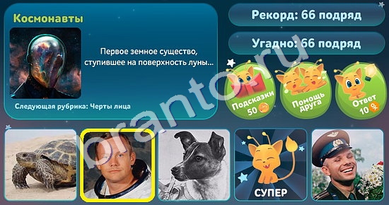 5 вопросов обо всём игра ответы в одноклассниках