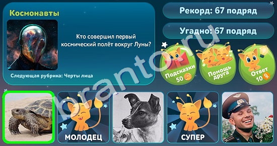 Одноклассники 5 вопросов обо всём ответы