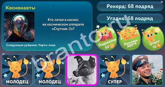 Пять вопросов обо всём подсказки в контакте