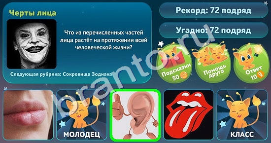 5 вопросов обо всём игра ответы