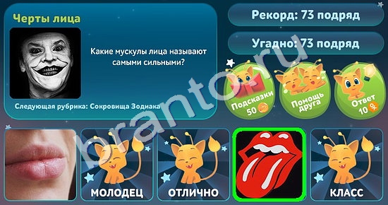 5 вопросов обо всём игра подсказки