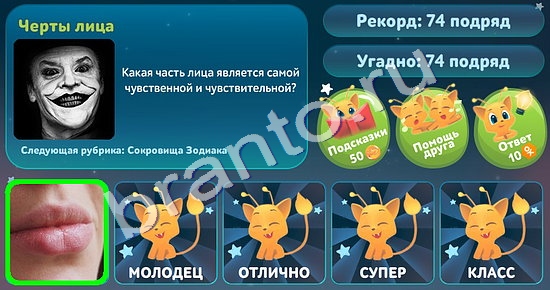 Пять вопросов обо всём игра помощь
