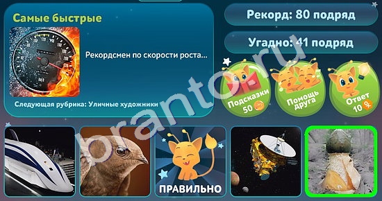 Подсказки на игру 5 вопросов обо всём