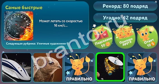 Решения на игру Пять вопросов обо всём