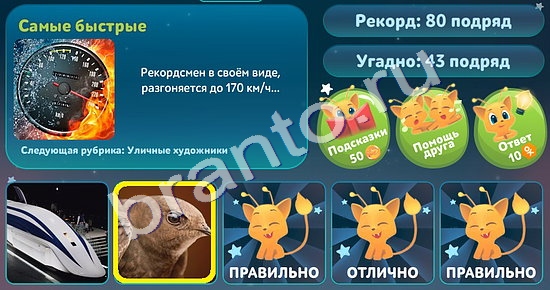 Помощь на игру ВК 5 вопросов обо всём