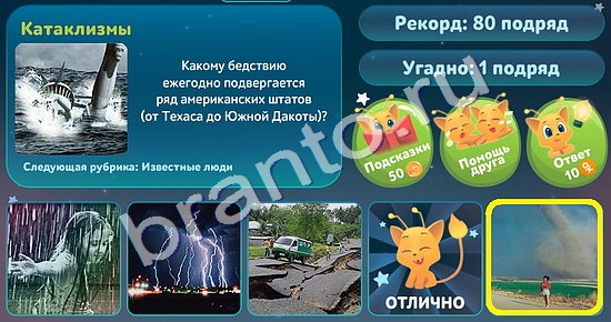 5 вопросов обо всём решения