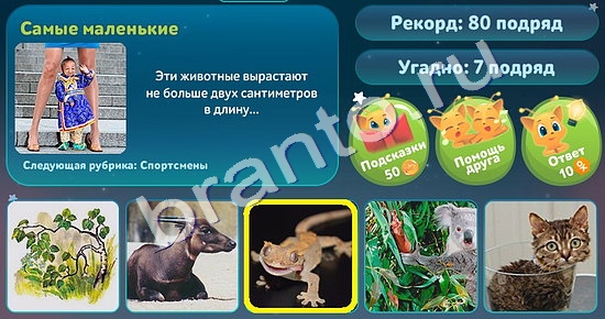 ответы на игру в одноклассниках Пять вопросов обо всём Уровень 42