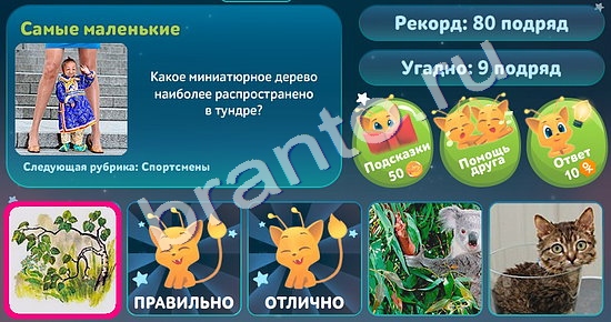 Одноклассники 5 вопросов обо всём ответы