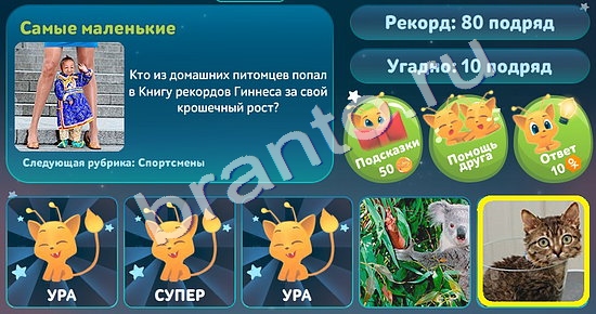 Пять вопросов обо всём подсказки в контакте