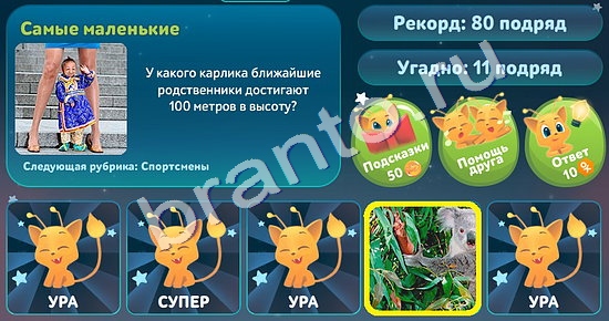 игра 5 вопросов обо всём ответ