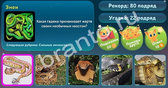 5 вопросов обо всём ответы в картинках Уровень 44