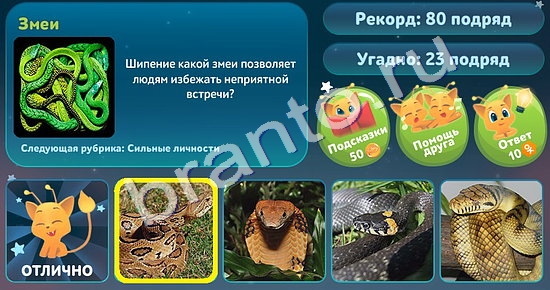 Игра Пять вопросов обо всём ответы