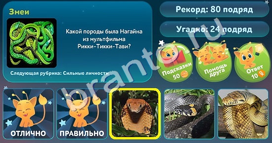 Игра 5 вопросов обо всём подсказки