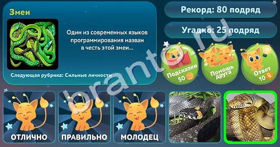 игра 5 вопросов обо всём помощь