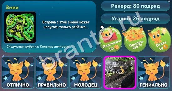 игра 5 вопросов обо всём ответ