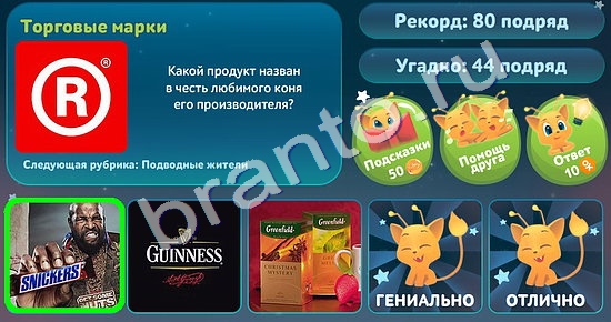 5 вопросов обо всём игра ответы