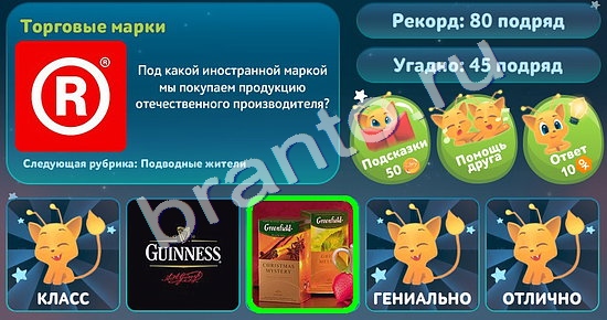 5 вопросов обо всём игра подсказки