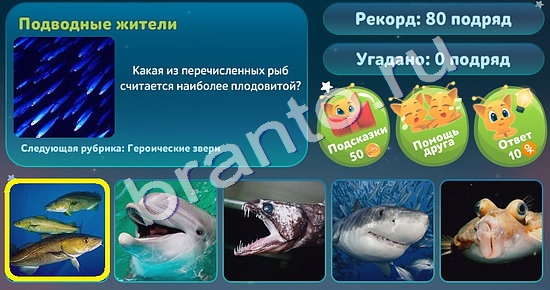 5 вопросов обо всём ответы в картинках Уровень 49