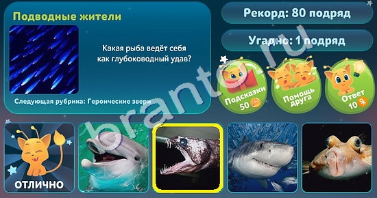 Игра Пять вопросов обо всём ответы