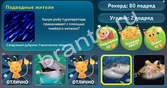 Игра 5 вопросов обо всём подсказки