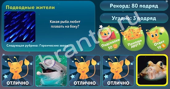 игра 5 вопросов обо всём помощь