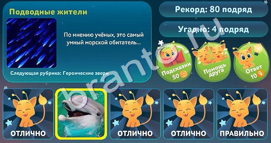 игра 5 вопросов обо всём ответ