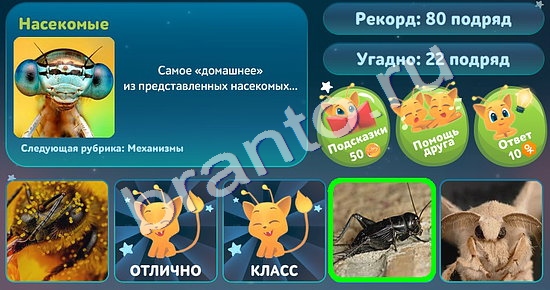 Игра 5 вопросов обо всём подсказки